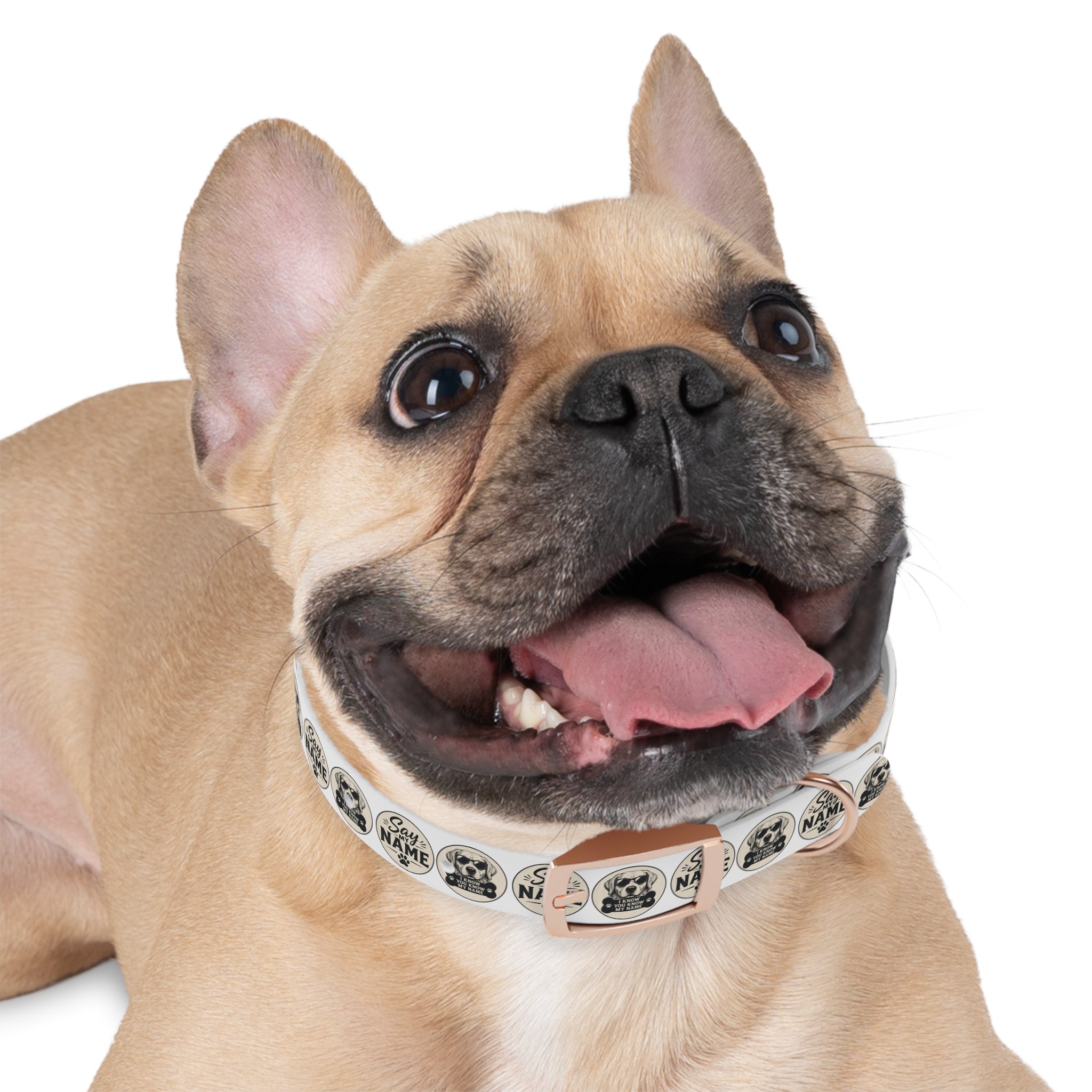 Personalized Dog Collar — "Say My Name" Pet ID Collar with Custom Name, Retro Paw Badge Design