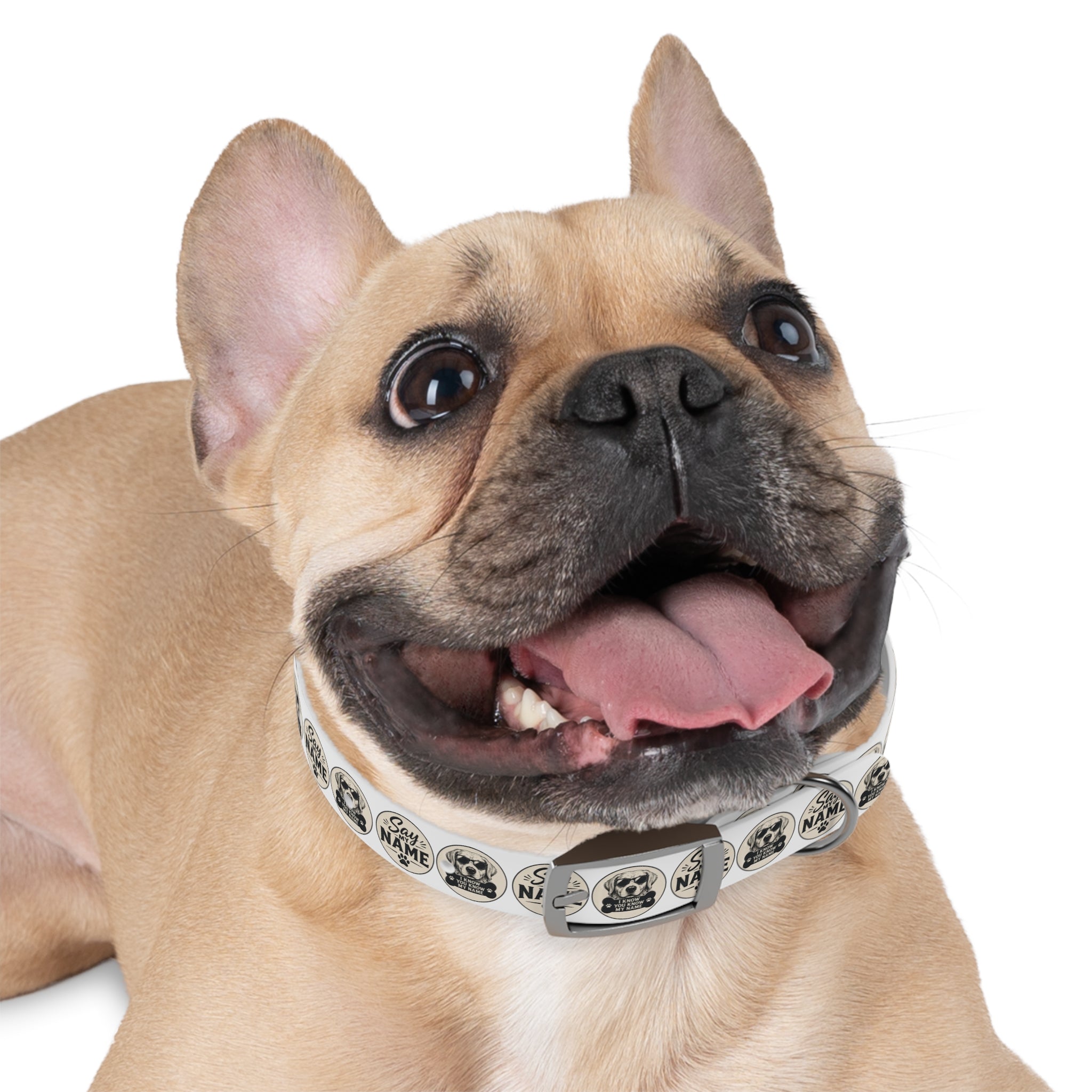 Personalized Dog Collar — "Say My Name" Pet ID Collar with Custom Name, Retro Paw Badge Design
