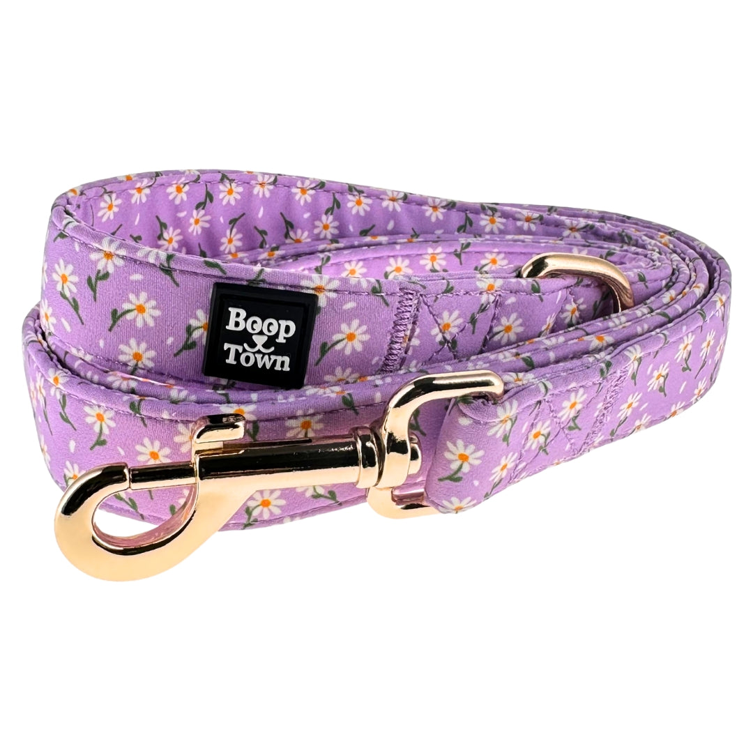 Dog Leashes