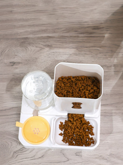 Automatic Pet Food and Water Dispenser