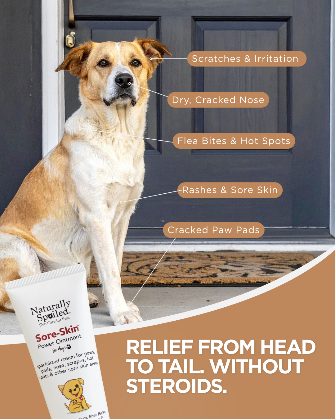 Healing Cream for Dogs with Dry, Irritated & Itchy Skin | Fast-Absorbing Pet Skin Relief | 2 oz