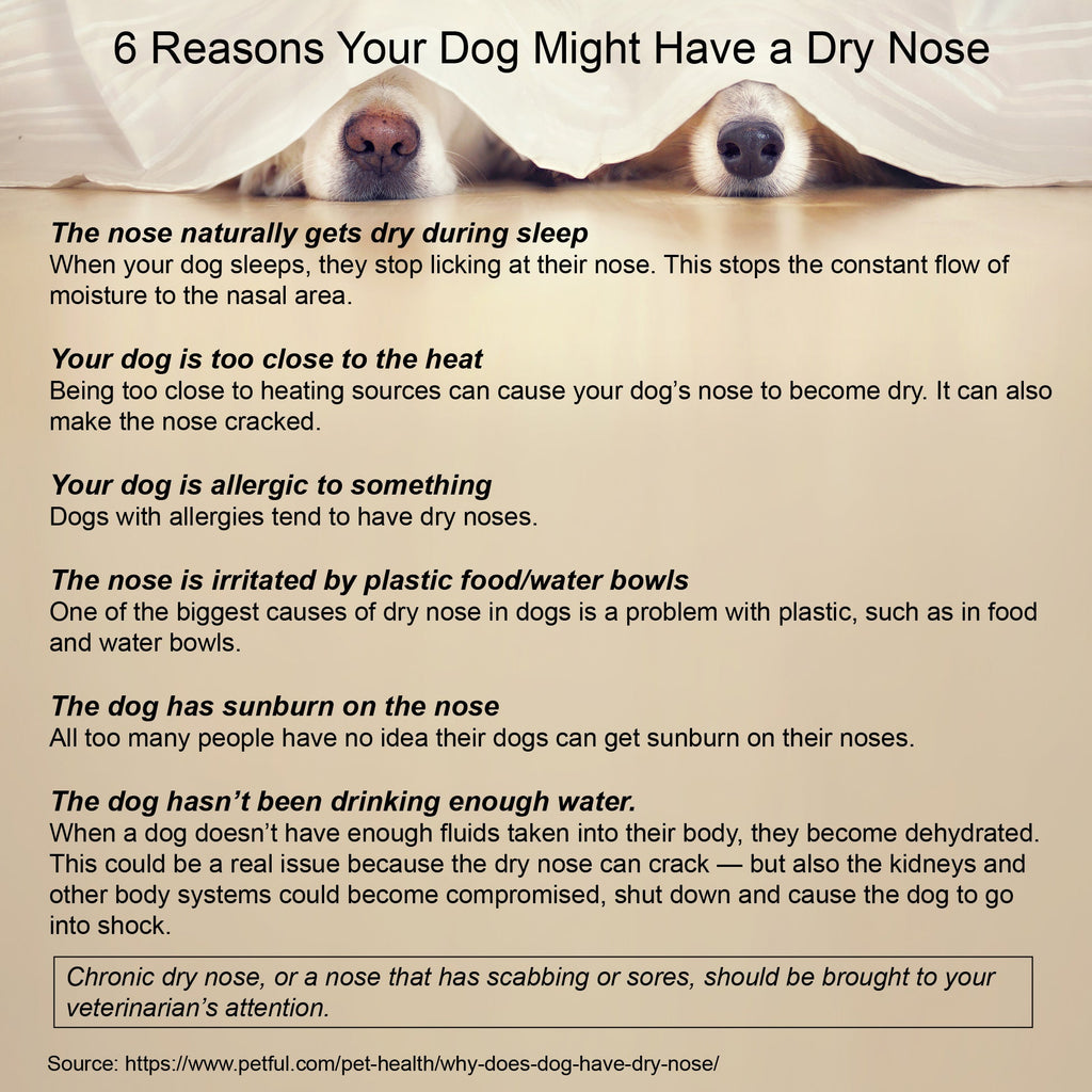 Healing Cream for Dogs with Dry, Irritated & Itchy Skin | Fast-Absorbing Pet Skin Relief | 2 oz