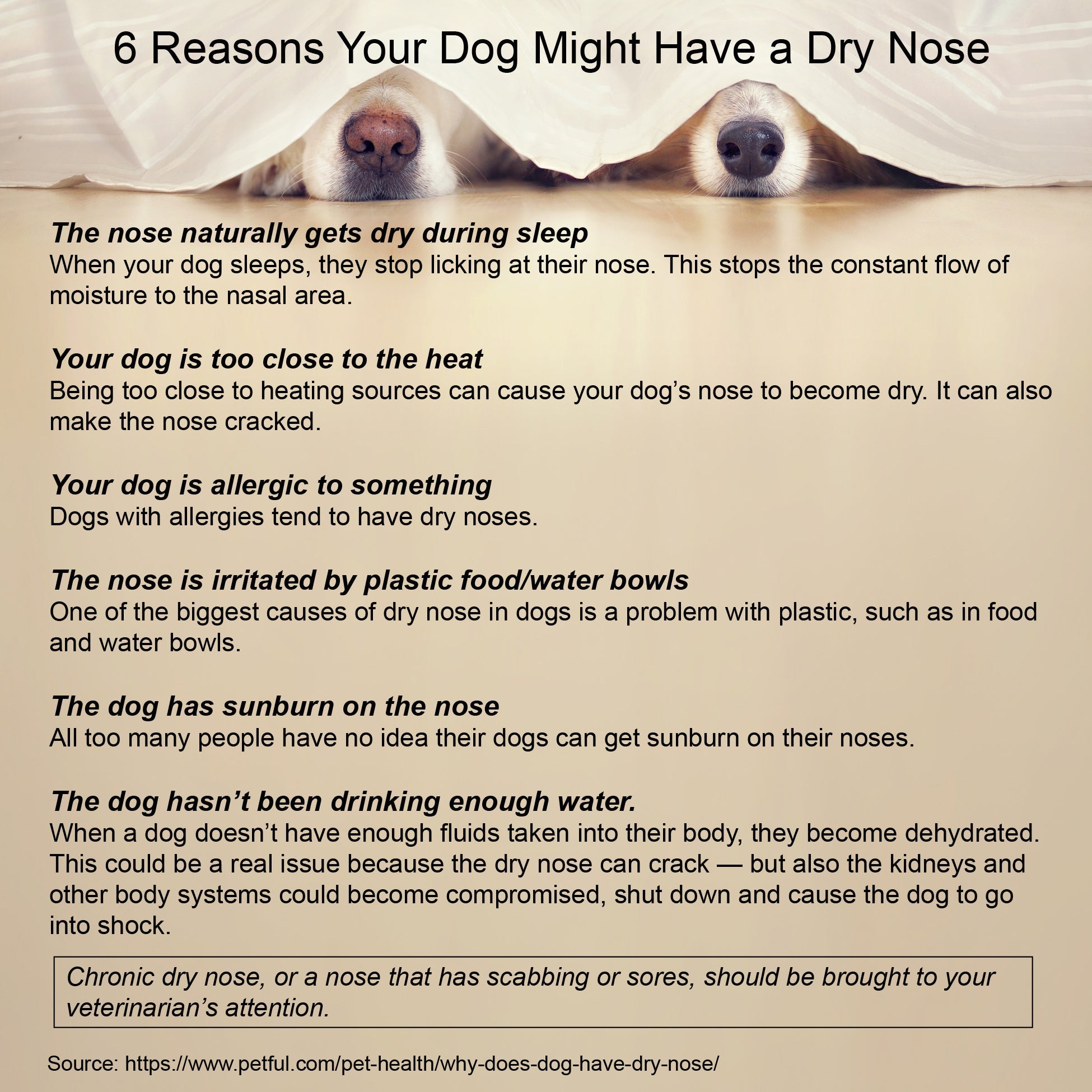 Healing Cream for Dogs with Dry, Irritated & Itchy Skin | Fast-Absorbing Pet Skin Relief | 2 oz
