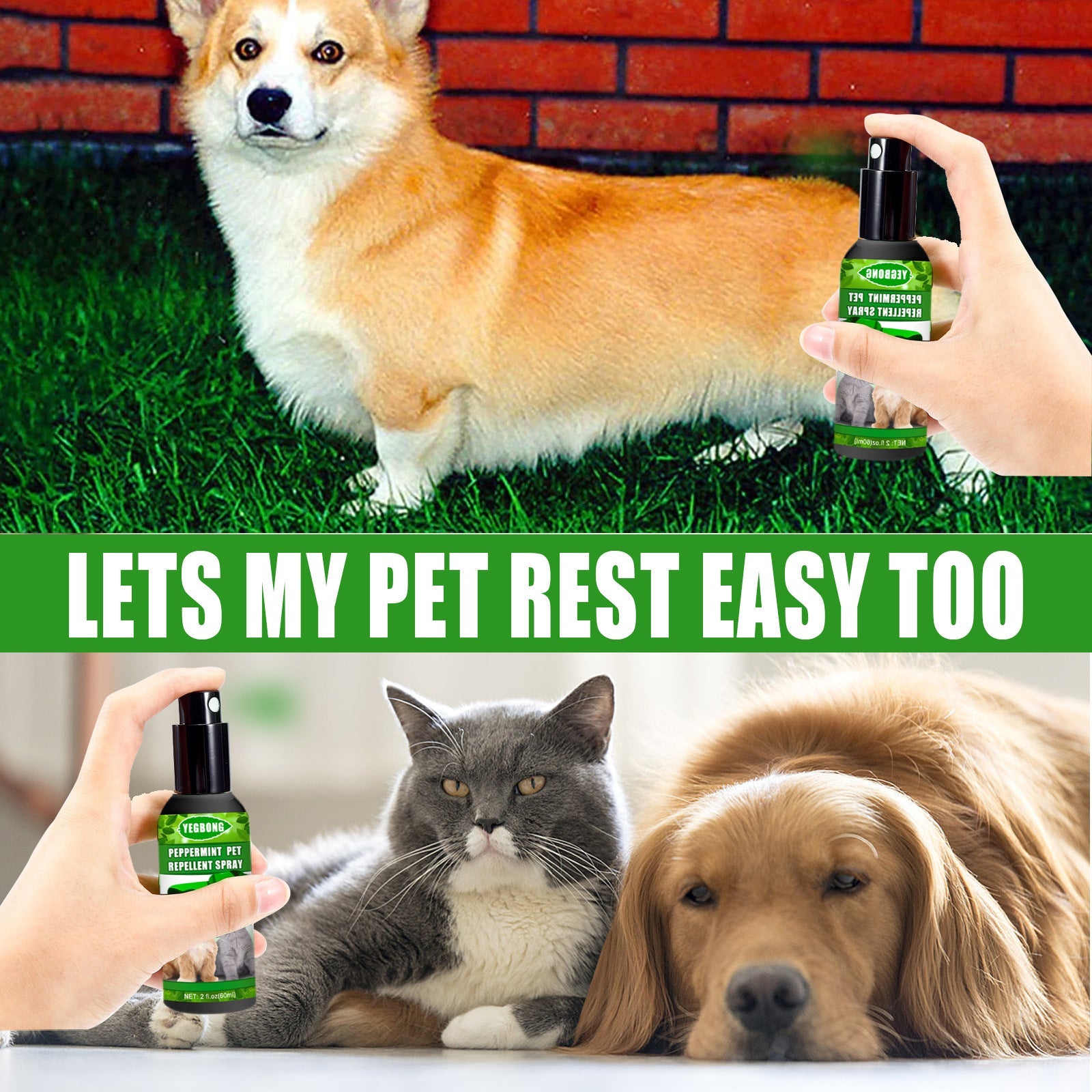 Peppermint Pet Repellent Spray, Dog Mite Spray Pet Mite Fungus Spray For Cats And Dogs