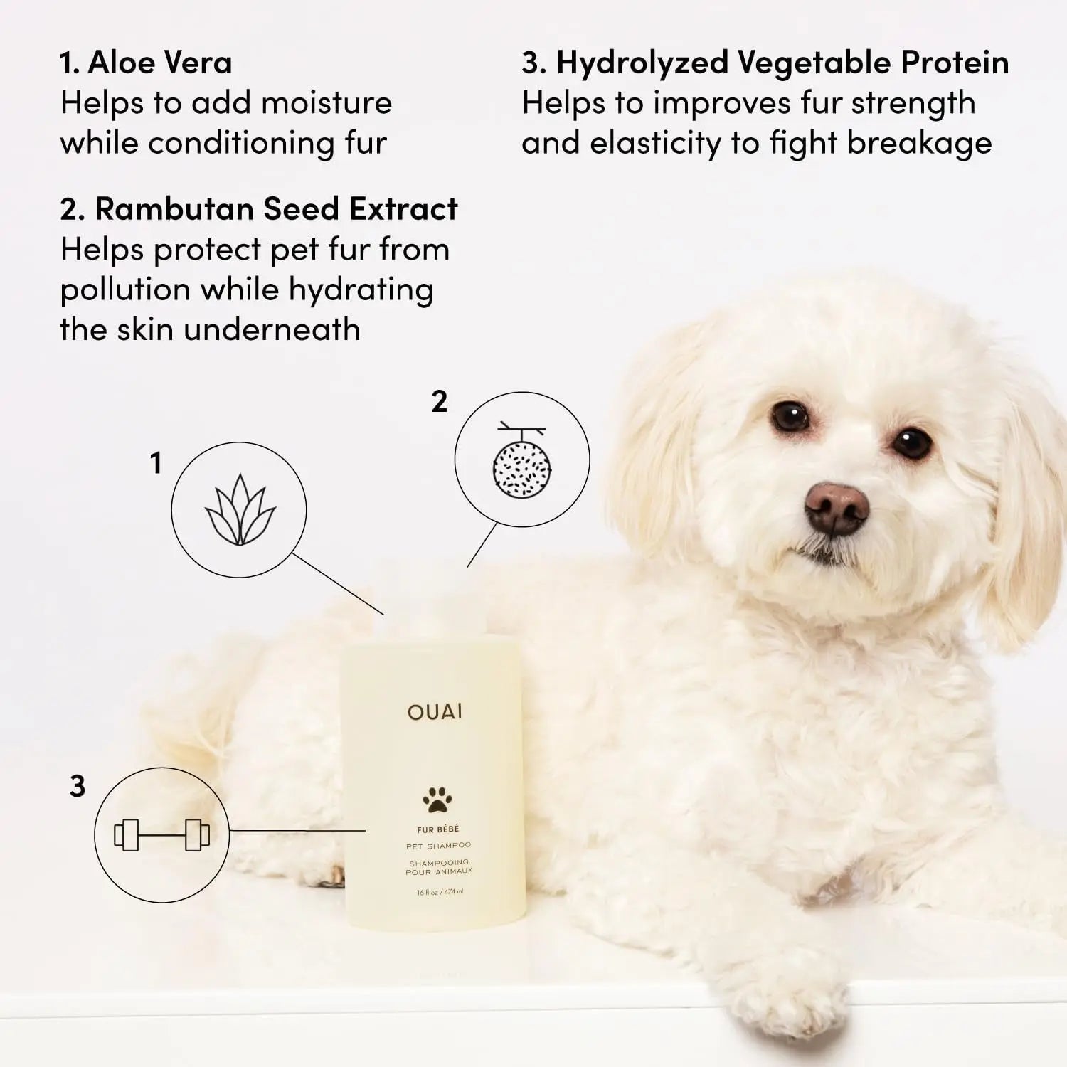 OUAI Fur Baby Pet Shampoo Mercer Street Scent Hydrating Dog Wash 16oz