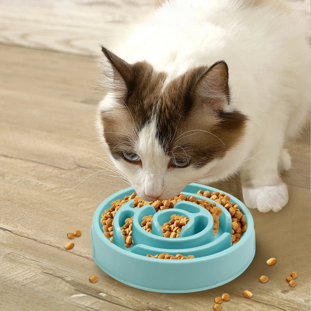 Slow Feeder Dog Bowl - Anti-Gulping Full Feeding Dish