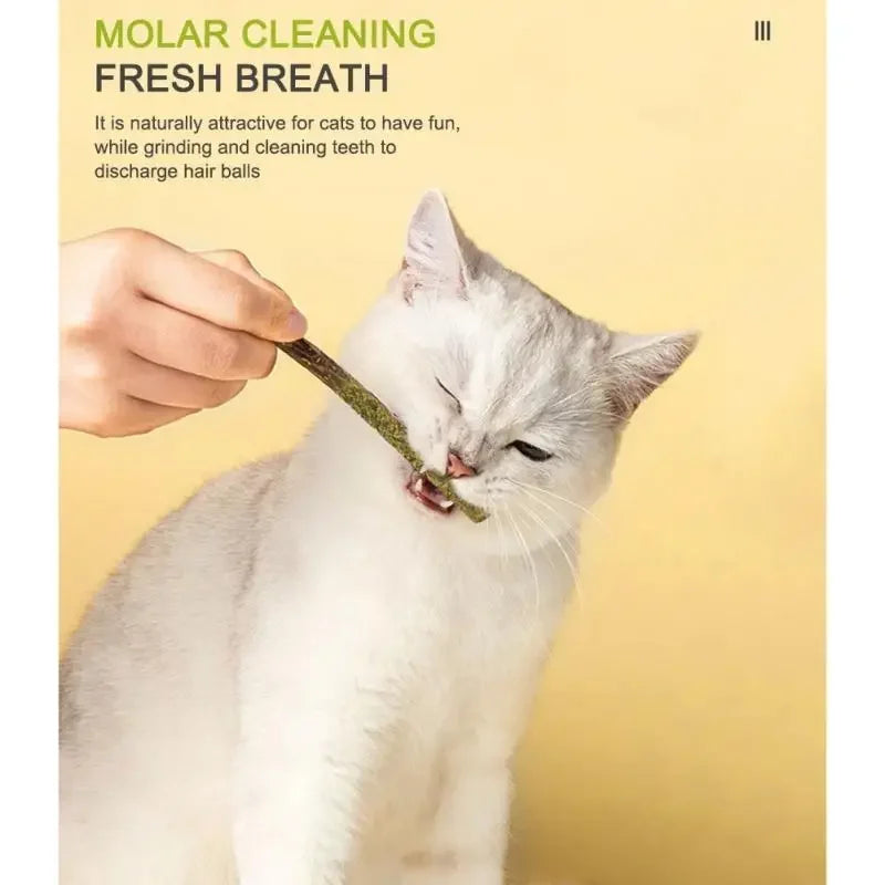 6-Pack Natural Silvervine (Matatabi) Cat Chew Sticks – Catnip Treats for Dental Health, Anxiety Relief & Play