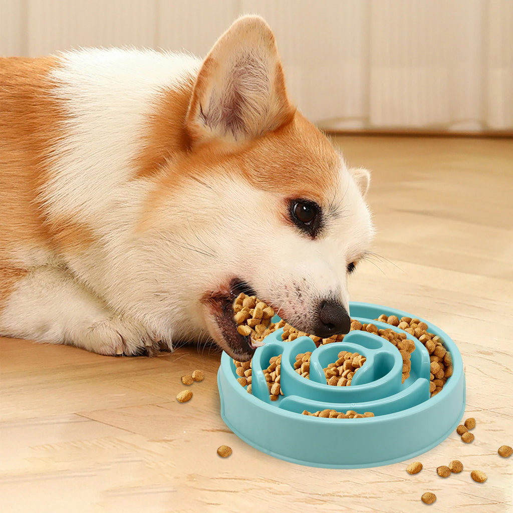 Slow Feeder Dog Bowl - Anti-Gulping Full Feeding Dish