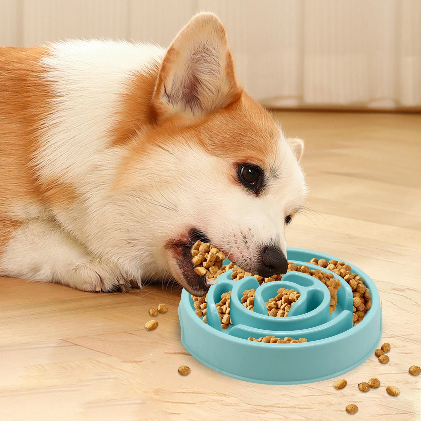 Slow Feeder Dog Bowl - Anti-Gulping Full Feeding Dish