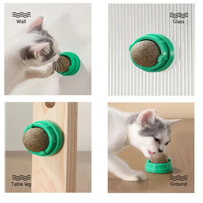 Catnip Wall Stick-On Spin Ball Toy for Cats — Adhesive Cat Grass Treat for Play & Dental Care