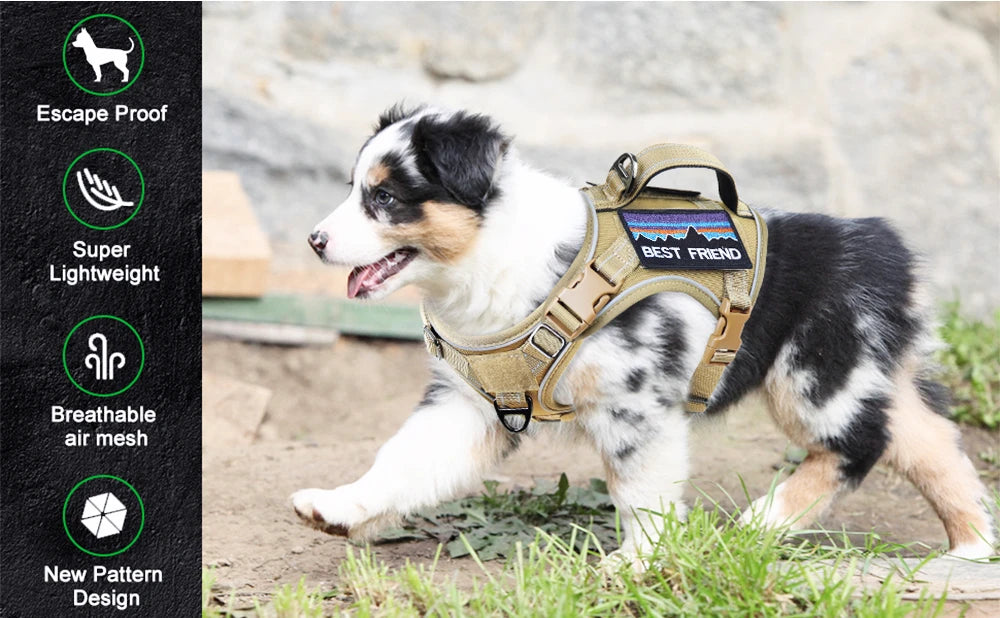 Tactical Dog Harness — No-Pull Military Style with Handle