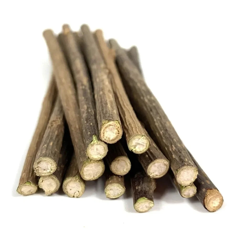 15-Pack Natural Matatabi (Silvervine) Catnip Chew Sticks — 4.7 in (12 cm) Dental Treats for Cats & Kittens