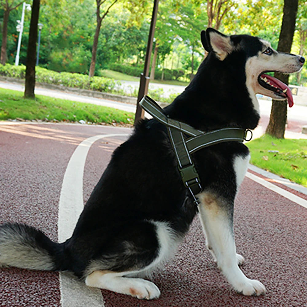 Premium Anti-Pull Dog Harness — Adjustable & Reflective