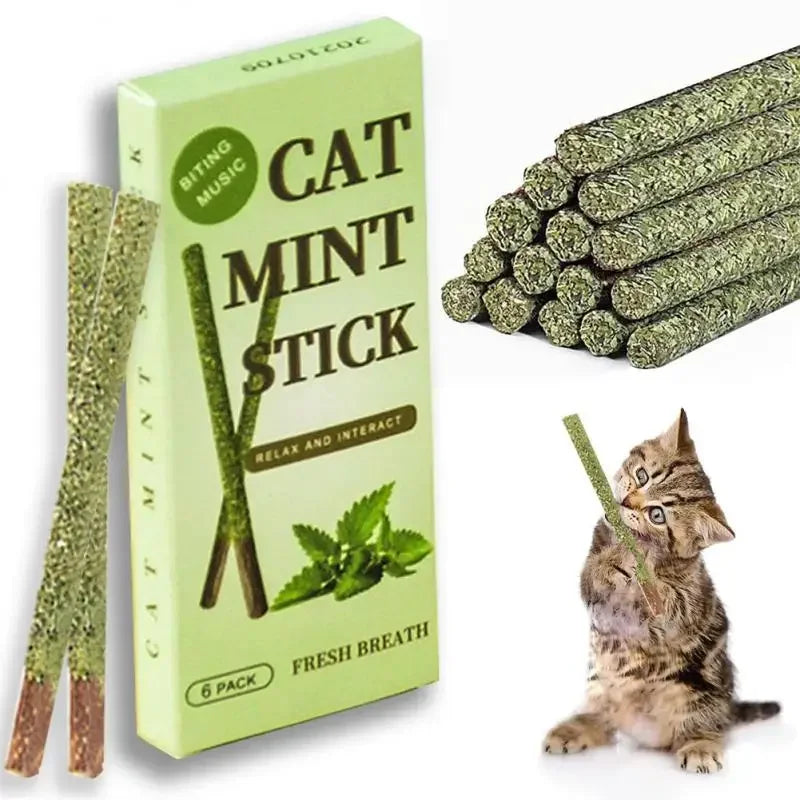 6-Pack Natural Silvervine (Matatabi) Cat Chew Sticks – Catnip Treats for Dental Health, Anxiety Relief & Play