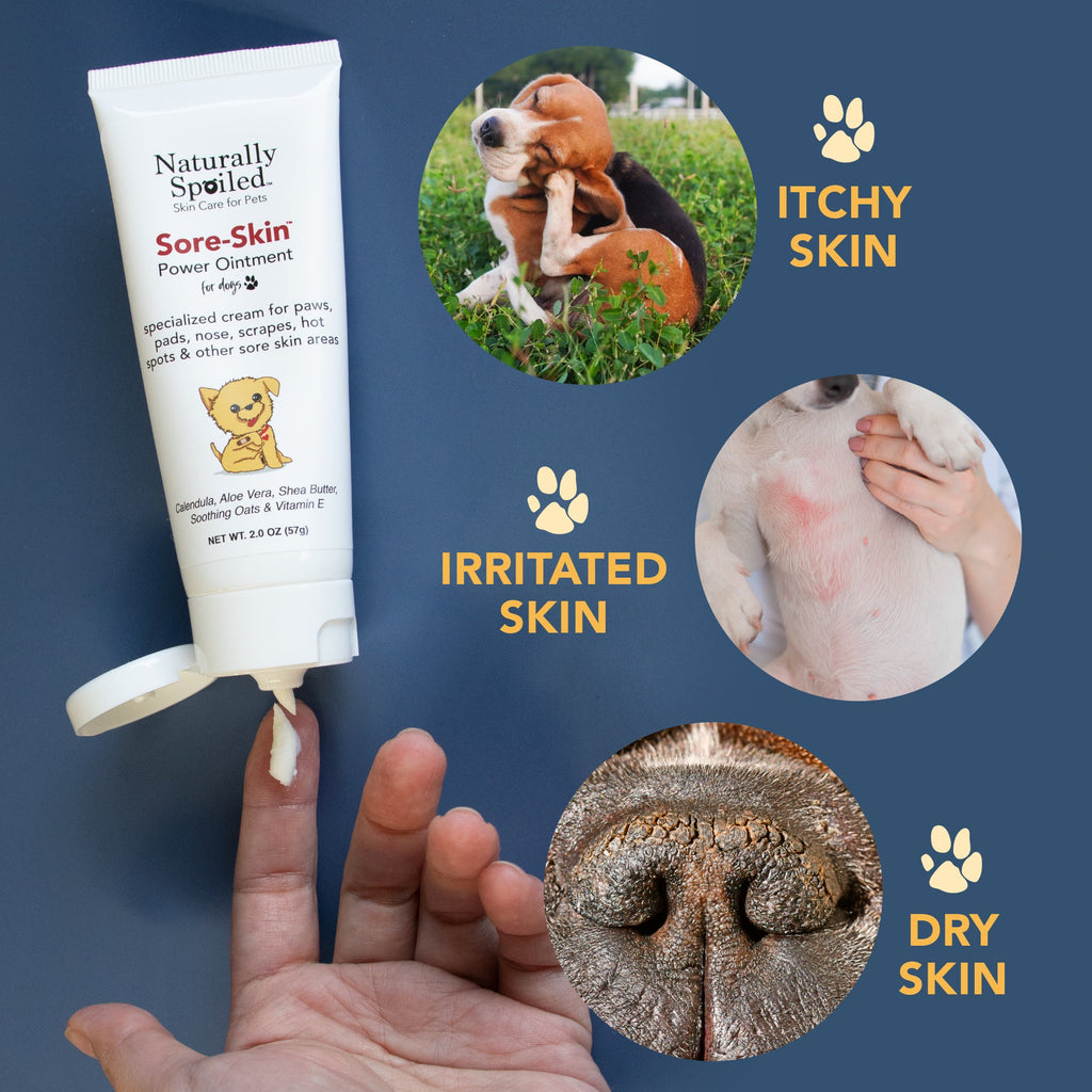 Healing Cream for Dogs with Dry, Irritated & Itchy Skin | Fast-Absorbing Pet Skin Relief | 2 oz