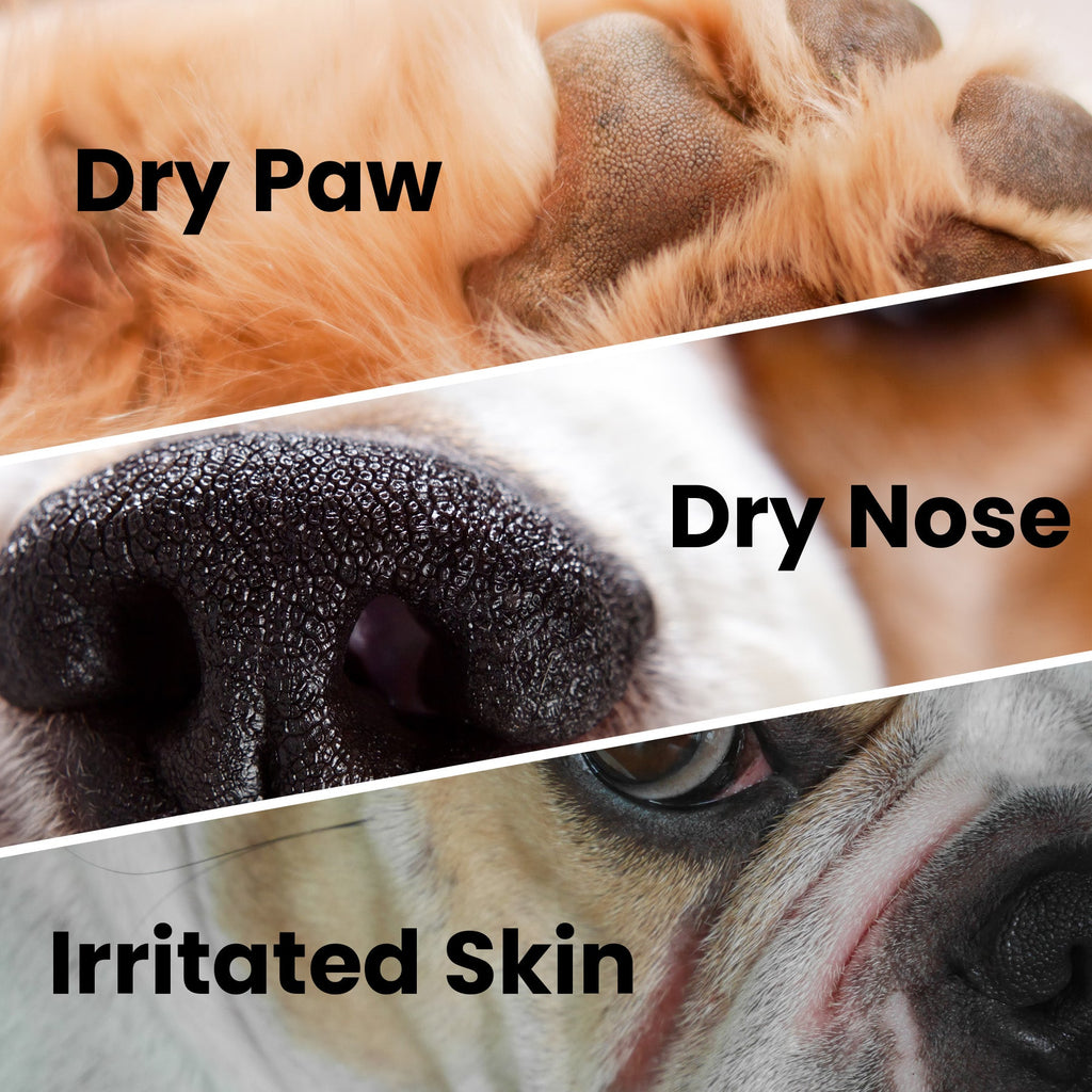 Healing Cream for Dogs with Dry, Irritated & Itchy Skin | Fast-Absorbing Pet Skin Relief | 2 oz