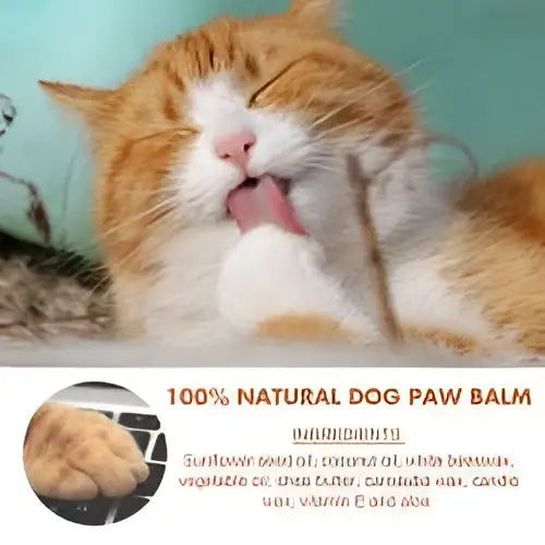 Natural Pet Foot Care Cream