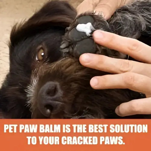 Natural Pet Foot Care Cream